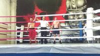 File:Knezevic Darko vs Legen Sinisa.jpg