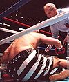Knockdown-Out.jpg