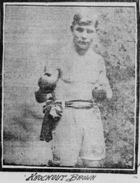 File:KnockoutBrown.JPG
