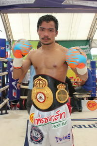 File:Knockout CP Freshmart.jpg