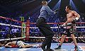 Ko down.jpg