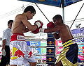 Thumbnail for version as of 21:32, 26 December 2011