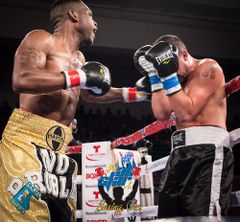 LG=02=boxer.jpg