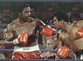LYLE-ALI-Heavyweights.jpg