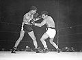 LaMotta-Fox.JPG