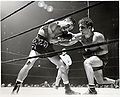 LaMotta vs.jpg