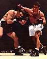 LaStarza Rocky.jpg