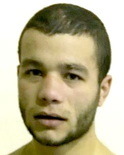 Ladislav Nemeth cropped.jpg