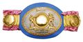 Larry Holmes Ring belt.jpg