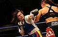 Thumbnail for version as of 01:59, 6 February 2011
