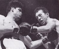File:Lauro Salas vs Pat Marcune @Madison Square Garden.jpg