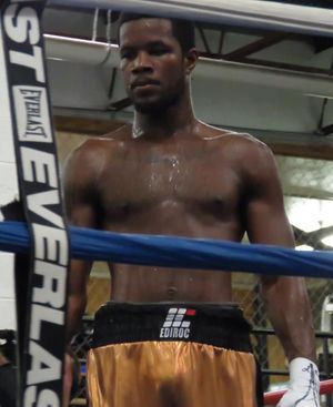 Lavarnharvell-2015-06-06.JPG