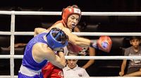 File:Leandro Carvalho vs. Adriano Araujo.jpg