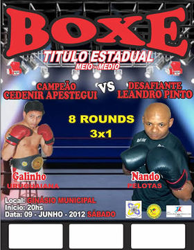 Leandro Mendes Pinto vs. Cedenir Apestegui (2nd me.jpg