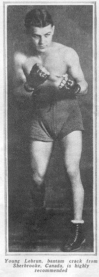 File:Lebrun.Young.jpg