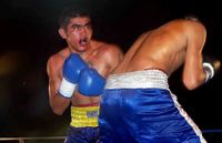 File:Ledesma vs Torres.jpg