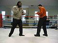 Lennox Ali3.jpg