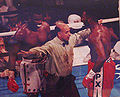 Lennox Lewis vs. Tony Tucker.jpg