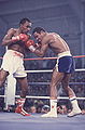 Leonard-Benitez 81346945.jpg