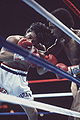 Leonard-Duran II 117737558.jpg