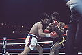 Leonard-Duran II 81346946.jpg