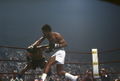 Leonard-Gant 139371421.jpg