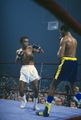 Leonard-Gant 139371423.jpg
