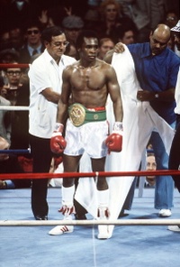 File:Leonard-Green 78950178.jpg