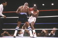 Leonard-Hagler 56401700.jpg