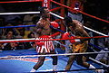 Leonard-Hearns II 53441768.jpg