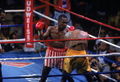 Leonard-Hearns II 53441782.jpg