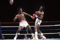 Leonard-Hearns I 117115135.jpg