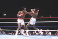 Leonard-Hearns I 56401708.jpg