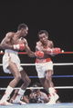 Leonard-Hearns I 81442402.jpg
