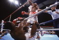 Leonard-Hearns I 81446531.jpg