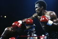 Leonard-Howard 139369679.jpg