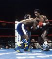 Leonard-Howard 173351016.jpg