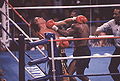 Leonard-Lalonde 81371728.jpg