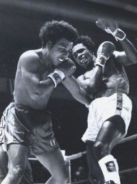 File:Leonard-Vega1318367994.jpg