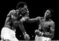 Leonard Hearns 42-31098210.jpg