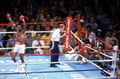 Leonard vs. Hearns I .jpg
