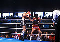 Thumbnail for version as of 15:31, 26 February 2012