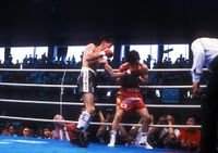 File:Leopard Tamakuma vs. Yul-Woo Lee.jpg