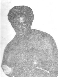 File:Leviforte.jpg