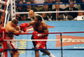 Lewis-Golota 1787715.jpg