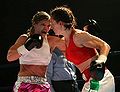 Thumbnail for version as of 02:19, 15 January 2012
