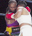Thumbnail for version as of 16:50, 13 January 2012