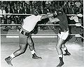 Liston-Bruce.jpg