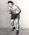 Lorenzo Safora3.JPG