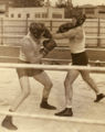 Thumbnail for version as of 17:19, 20 June 2009
